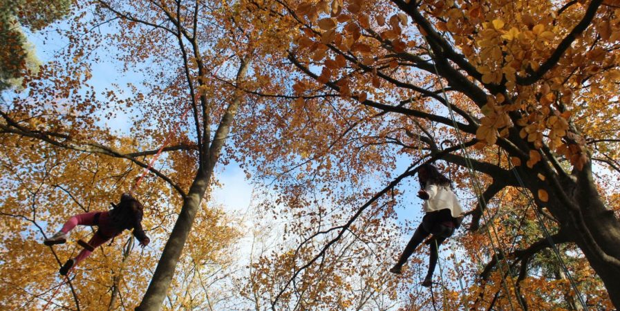 Automne 2025 – Bougez dans le Pilat – Grimpe d’arbres (à partir de 10 ans) – Collet de Doizieux