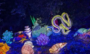 4ème Festival Lumières Sauvages_Peaugres