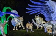 4ème Festival Lumières Sauvages_Peaugres