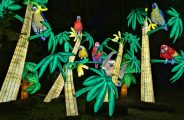 4ème Festival Lumières Sauvages_Peaugres