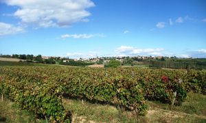 Marche des 3 Vallées_Talencieux