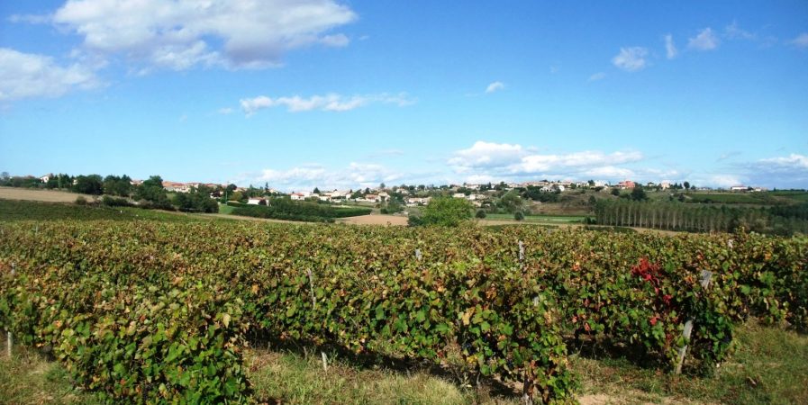 Marche des 3 Vallées