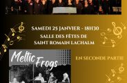 Concert Méli Mélodie et Meltic Frogs_Saint-Romain-Lachalm