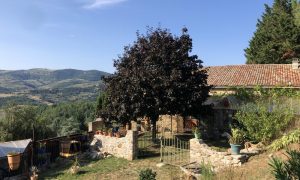Gîte de la gorre