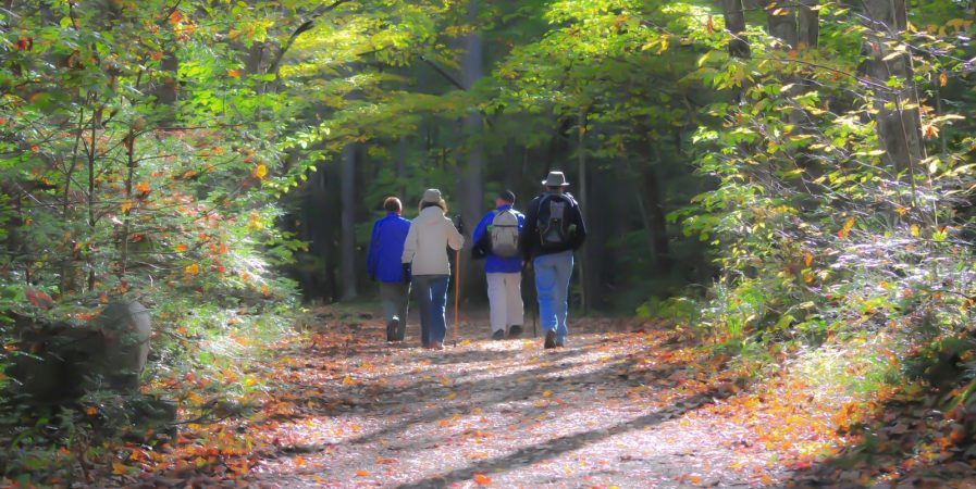 Randonnée pédestre et VTT