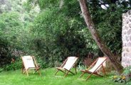 Le Jardin