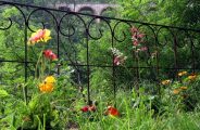 Le Jardin
