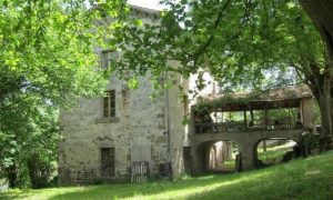 Jardin, vue sur la maison