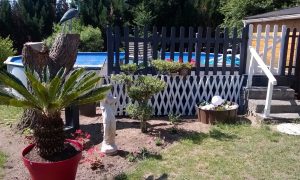 Piscine hors sol