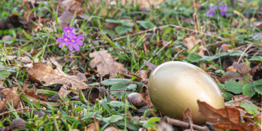 Chasse aux Oeufs géante