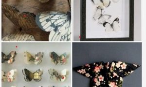 Atelier créatif: crée un cadre à papillon_Riotord