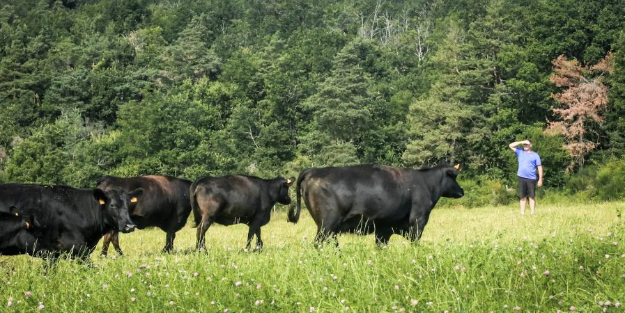 De ferme en ferme – Visite Ferme de l&rsquo;Etoile Noire