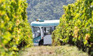 Côte-Rôtie Tour