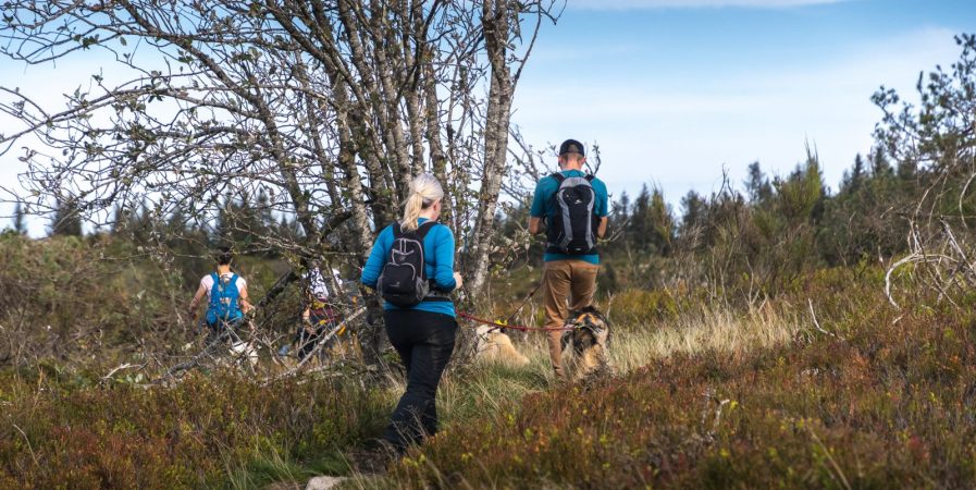 Printemps 2025 – Bougez dans le Pilat – Cani-randonnée (à partir de 8 ans) – Saint-Régis-du-Coin