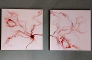 Exposition d’aquarelles_La Chaise-Dieu