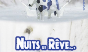 EVE_Festival Nuits de Rêve_Rosières