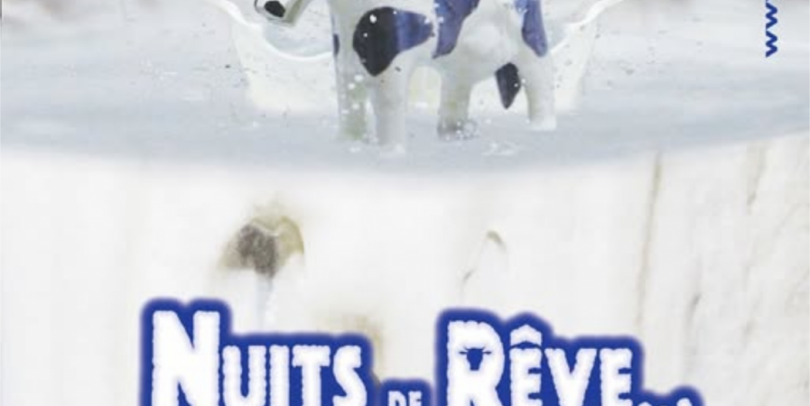 Festival Nuits de Rêve
