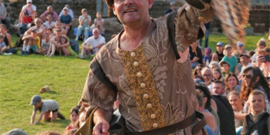 Spectacle de rapaces