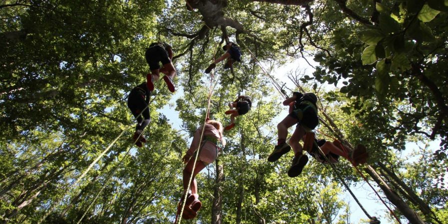 Eté 2025 – Bougez dans le Pilat – Grimpe d’arbres (à partir de 10 ans) – Collet de Doizieux