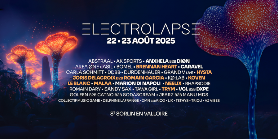 Electrolapse Festival