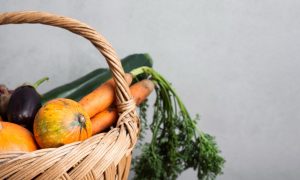 Visite de la ferme de Gurin à Peaugres_Annonay