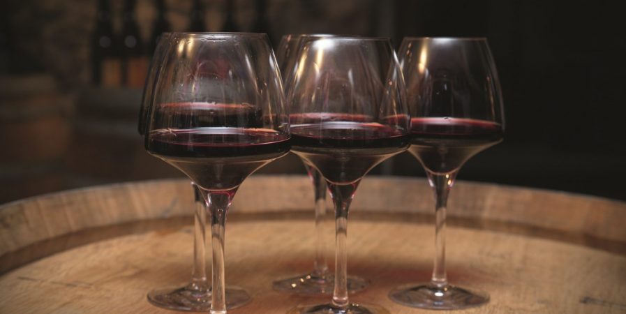 Afterwork « apéro-vigne » au Domaine Grenier