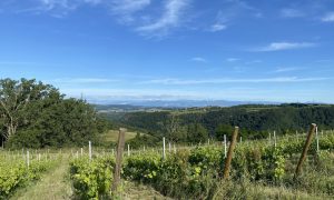 Rando Wine au domaine Peychon_Saint-Vallier