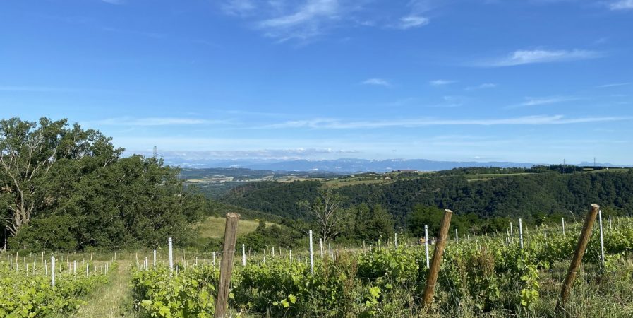 Rando Wine au domaine Peychon