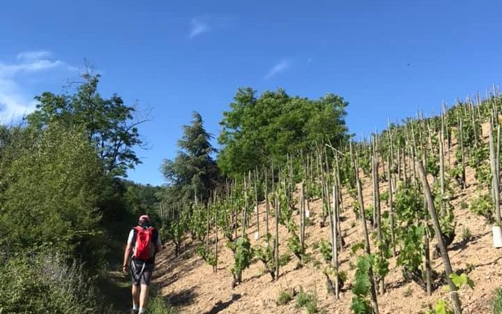 Rando Wine à la Cave de Sarras
