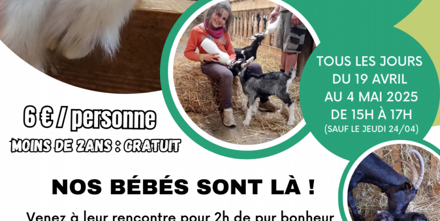 Un Printemps à la Ferme des Pommeaux Blancs
