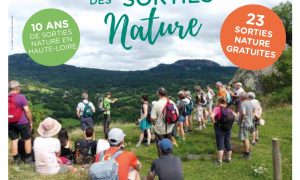 EVE_Sortie nature – Serpents, crapauds et chauve-souris : à la découverte des créatures de l’ombre