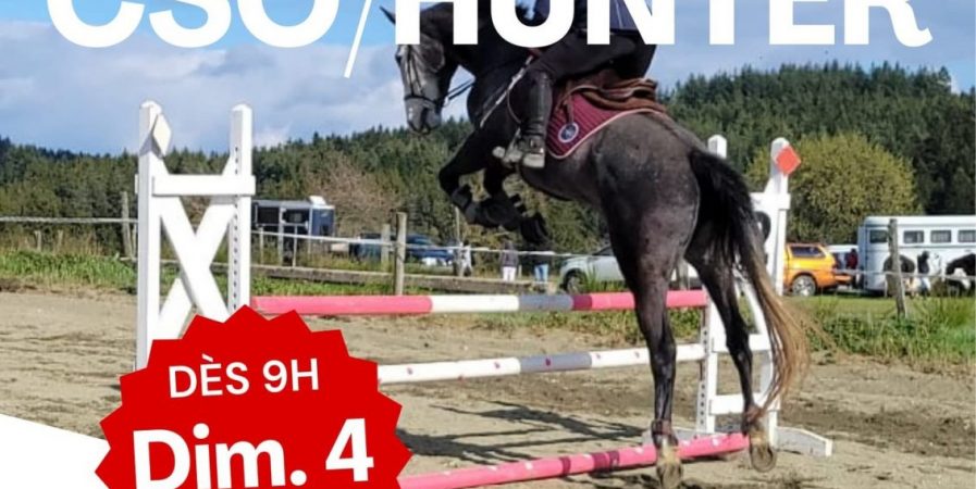 Concours de Sauts d’Obstacles / Hunter