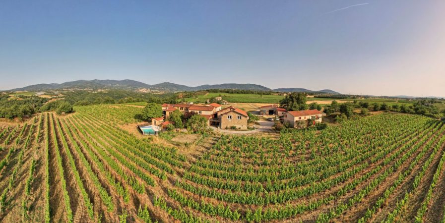 Wine Notes au Domaine Verzier