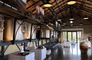 Brunch Vigneron au Domaine De Boisseyt_Chavanay