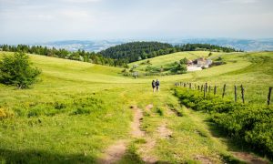 Rando OFF-TEL – Massif du Pilat