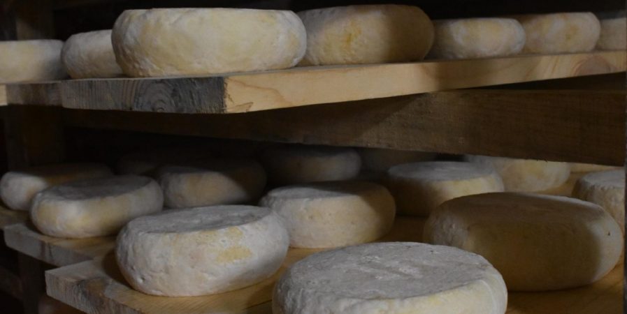 Sortie découverte « Ferme du Chant des Cloches » à Montchal – Burdignes