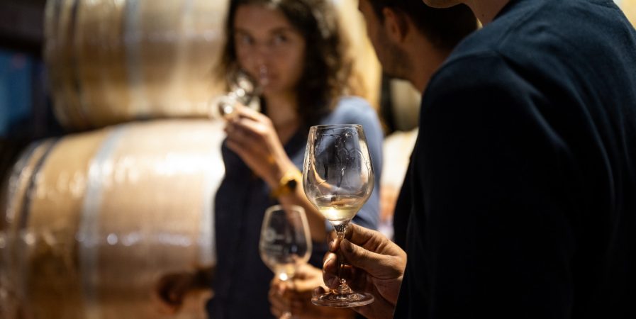Wine Notes au Domaine de Pimotin