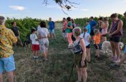 Rando Wine au domaine Perrier_Sarras