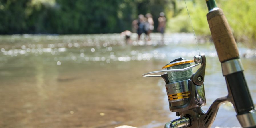 Initiation Pêche au Coup / Friture à l’étang de Maubourg