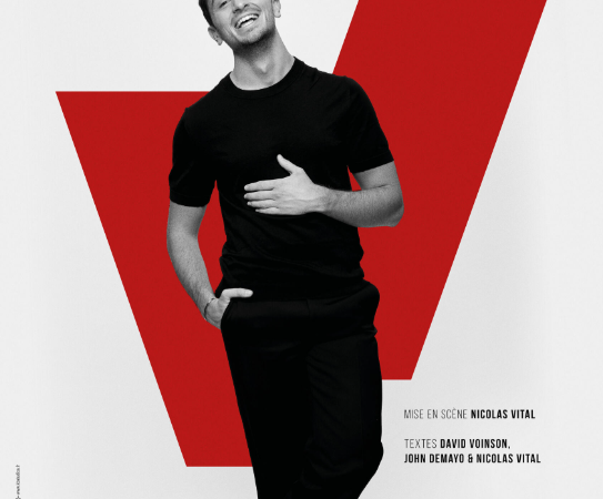 One man show : David Voinson