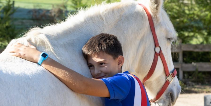 atelier de médiation équine: complicité
