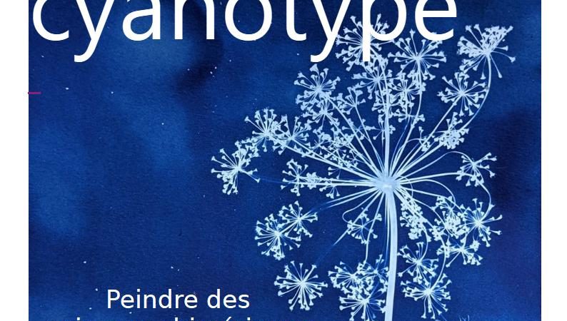Bibliothèque du Puy : Atelier cyanotype