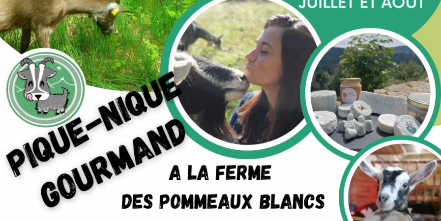 Pique-nique à la Ferme des Pommeaux Blancs