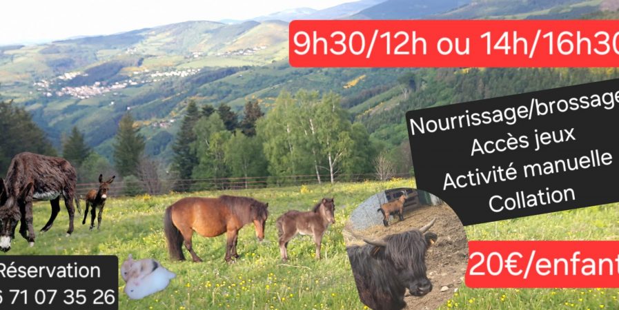 Demi-journée soigneur et découverte de la mini-ferme pédagogique