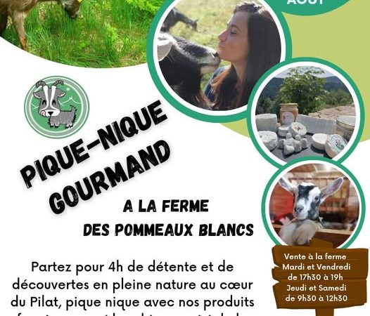 Pique-nique Gourmand Fermier à la Ferme des Pommeaux Blancs