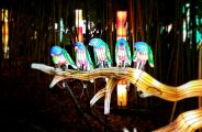 Banquet au Safari de Peaugres_Peaugres
