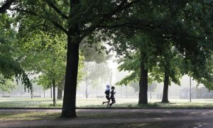 Festi-trail des bourriques_Yssingeaux