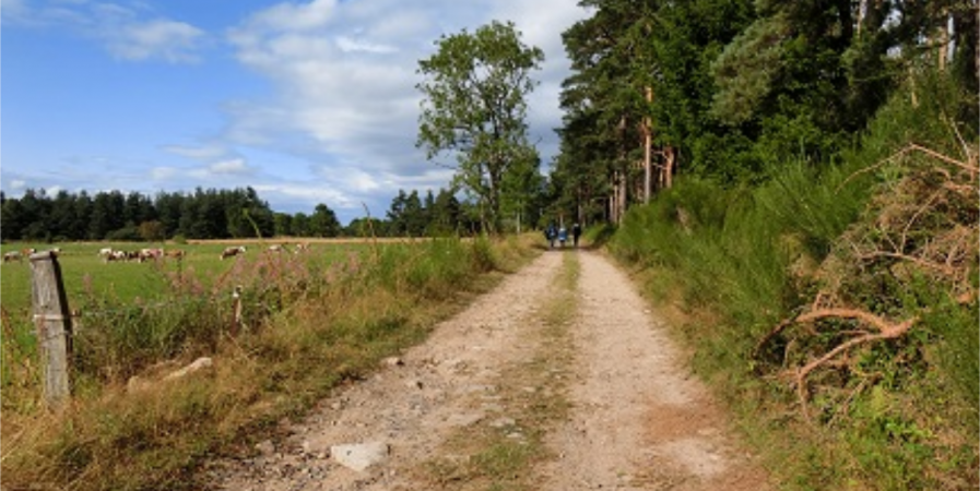 Triades d&rsquo;été