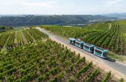 Côte-Rôtie Tour de Vignobles en Scène