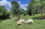 Gîte La croix de l&rsquo;oeil_Grazac
